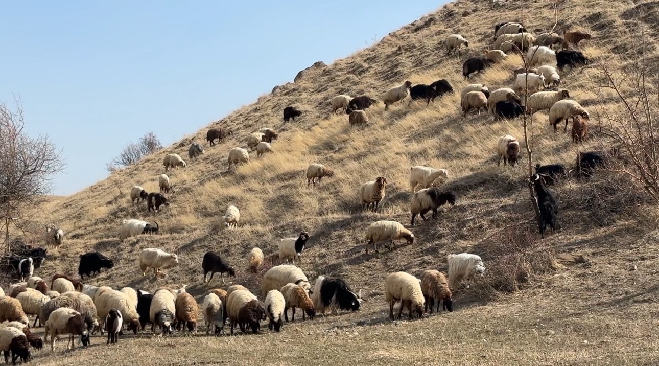 40 kilometre arayla iki mevsim yuksekovada kar esenderede bahar mesaisi 16 BGENnzF1