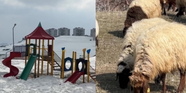 40-kilometre-arayla-iki-mevsim-yuksekovada-kar-esenderede-bahar-mesaisi-wRfzW73q.jpg