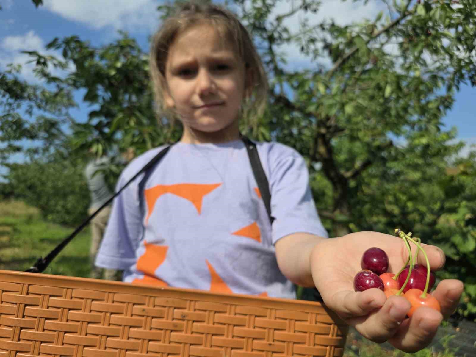 440 agaclik kiraz bahcesi ziyaretcilerini gecmise goturuyor 0 IkPdTsJB