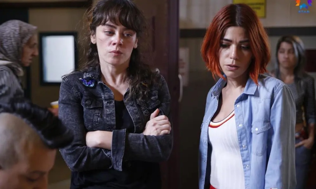 Avlu dizisi neden rafa kaldırıldı?