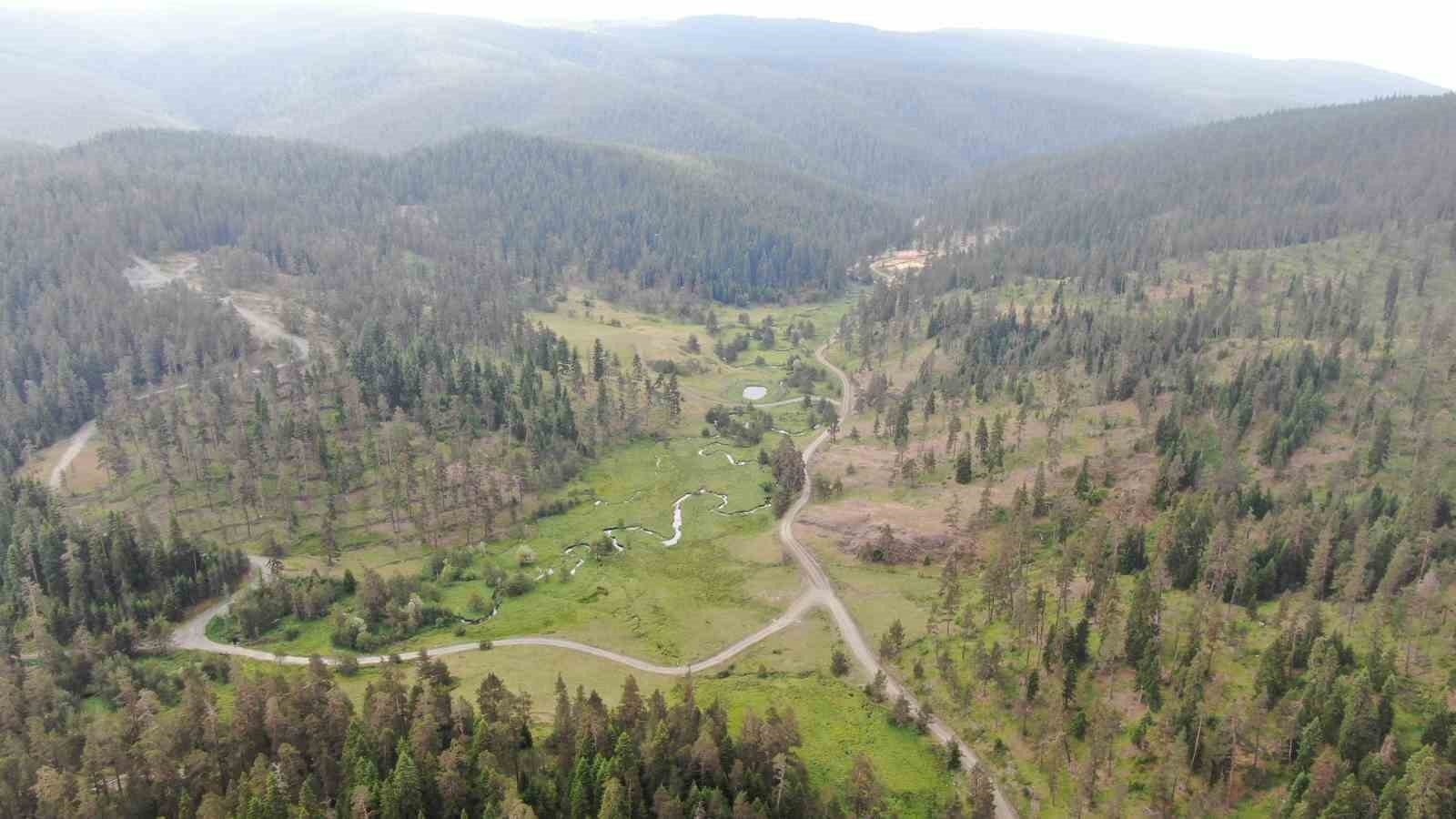 5 girisi bulunan magara turizme kazandirilmak bekliyor 7 RXkjMZKv
