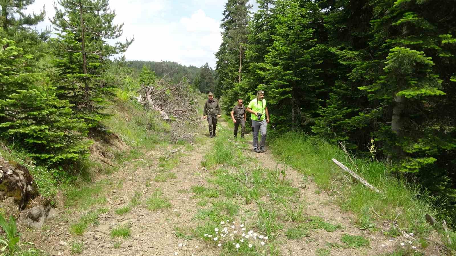 5 girisi bulunan magara turizme kazandirilmak bekliyor 8