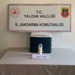 5-milyon-dolarlik-akrep-zehri-yalovada-yakalandi-BCng59dw.jpg