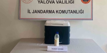 5-milyon-dolarlik-akrep-zehri-yalovada-yakalandi-BCng59dw.jpg