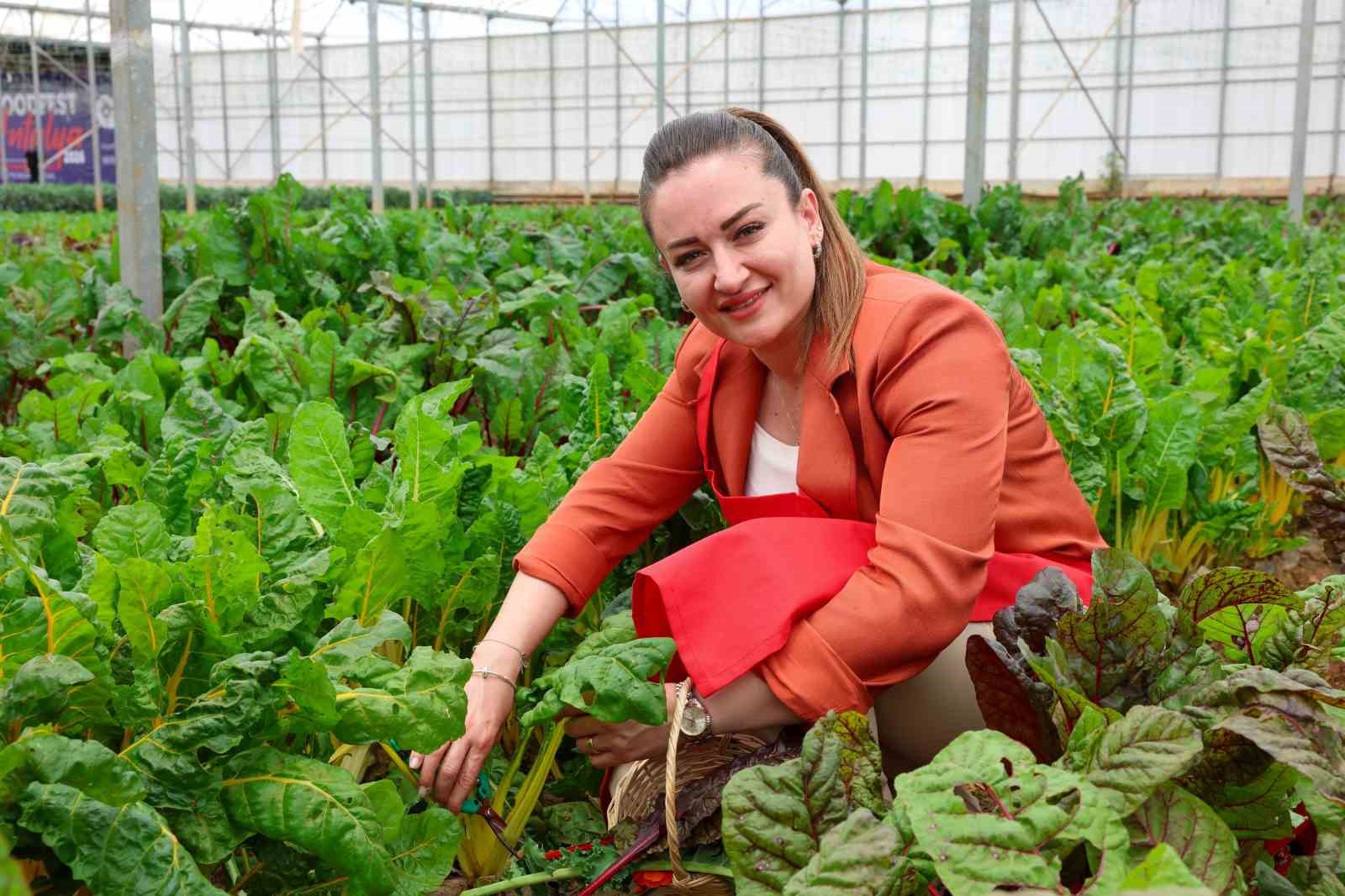 5. Uluslararası Antalya FoodFest Gastronomi Festivali Akdeniz yeşillikleri hasadıyla başladı 4 5 uluslararasi antalya foodfest gastronomi festivali akdeniz yesillikleri hasadiyla basladi 0 1Q1pvw2f