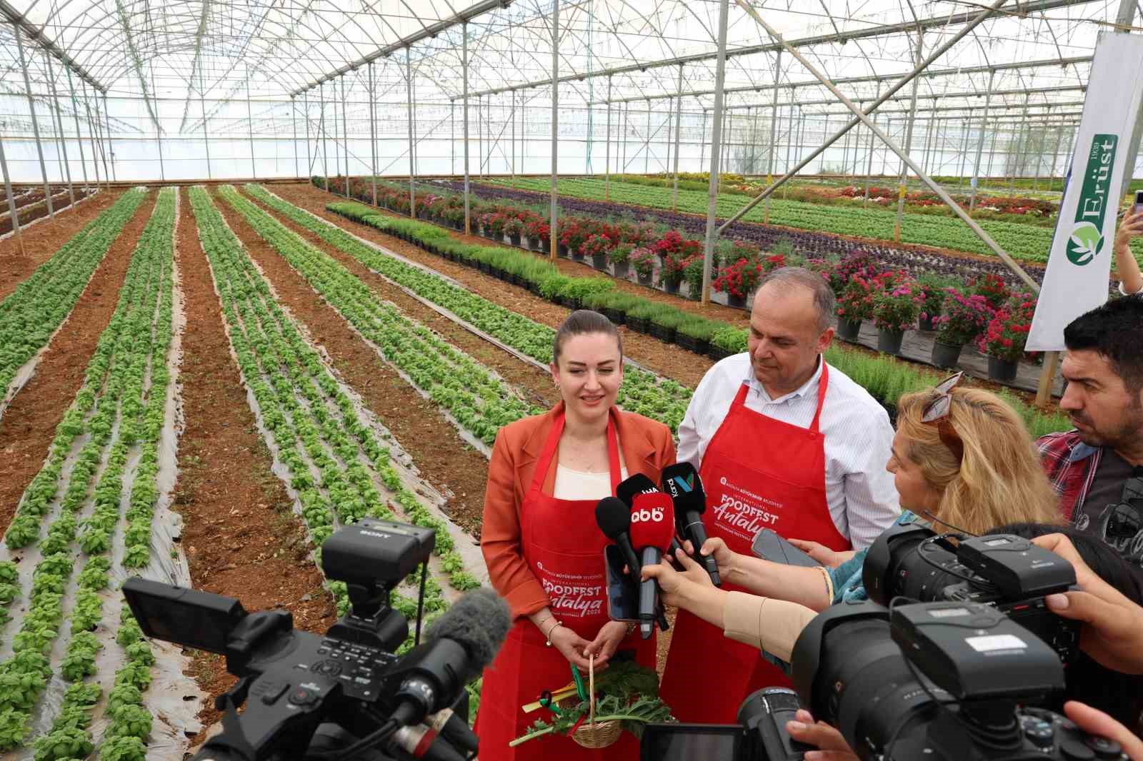 5. Uluslararası Antalya FoodFest Gastronomi Festivali Akdeniz yeşillikleri hasadıyla başladı 6 5 uluslararasi antalya foodfest gastronomi festivali akdeniz yesillikleri hasadiyla basladi 2 kcDOkMbB
