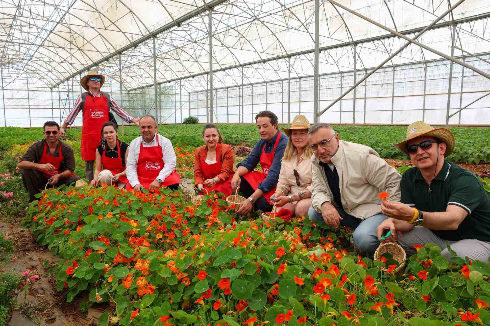 5. Uluslararası Antalya FoodFest Gastronomi Festivali Akdeniz yeşillikleri hasadıyla başladı 10 5 uluslararasi antalya foodfest gastronomi festivali akdeniz yesillikleri hasadiyla basladi 6 qw1b2Q96