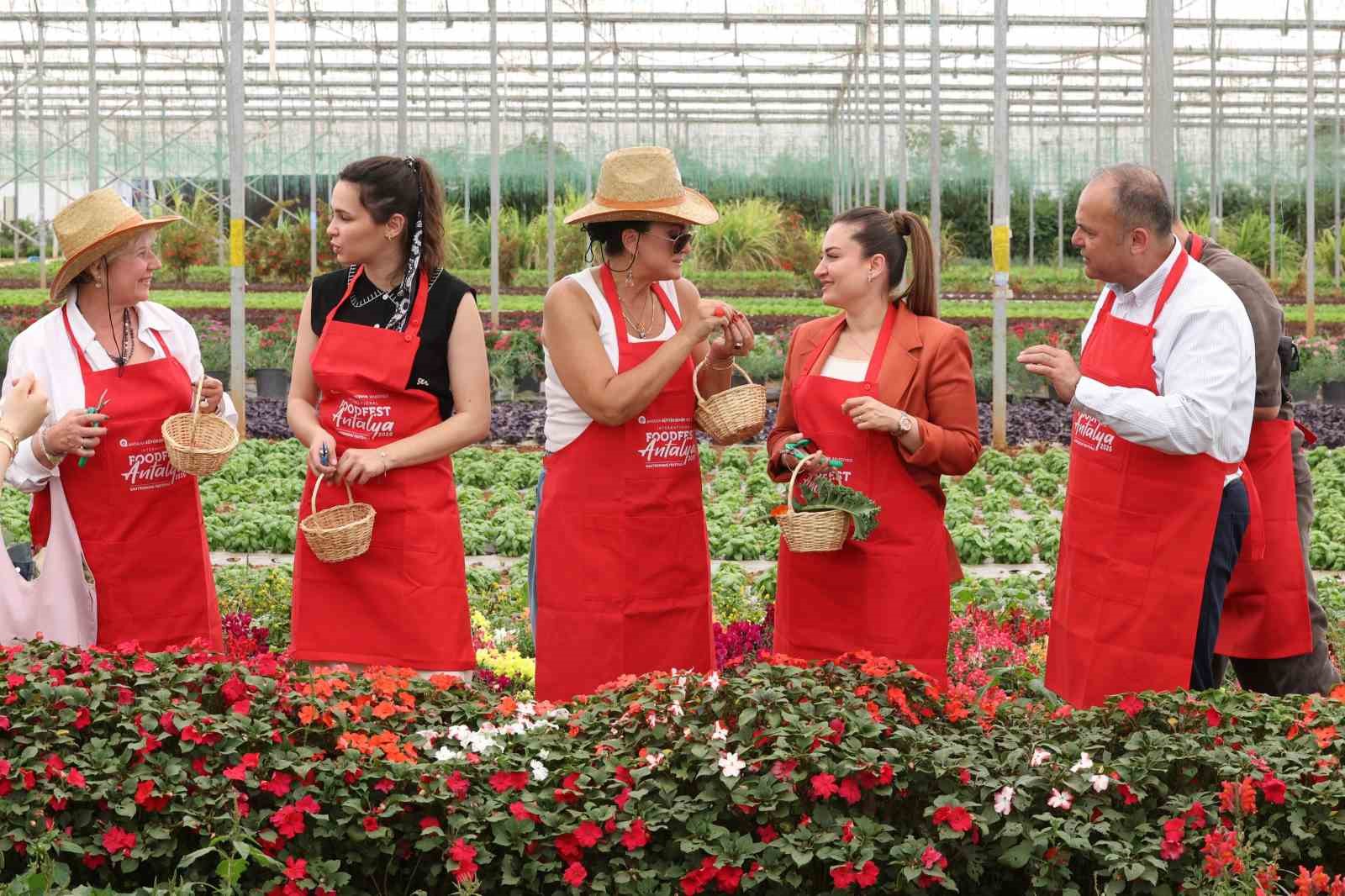5. Uluslararası Antalya FoodFest Gastronomi Festivali Akdeniz yeşillikleri hasadıyla başladı 11 5 uluslararasi antalya foodfest gastronomi festivali akdeniz yesillikleri hasadiyla basladi 7