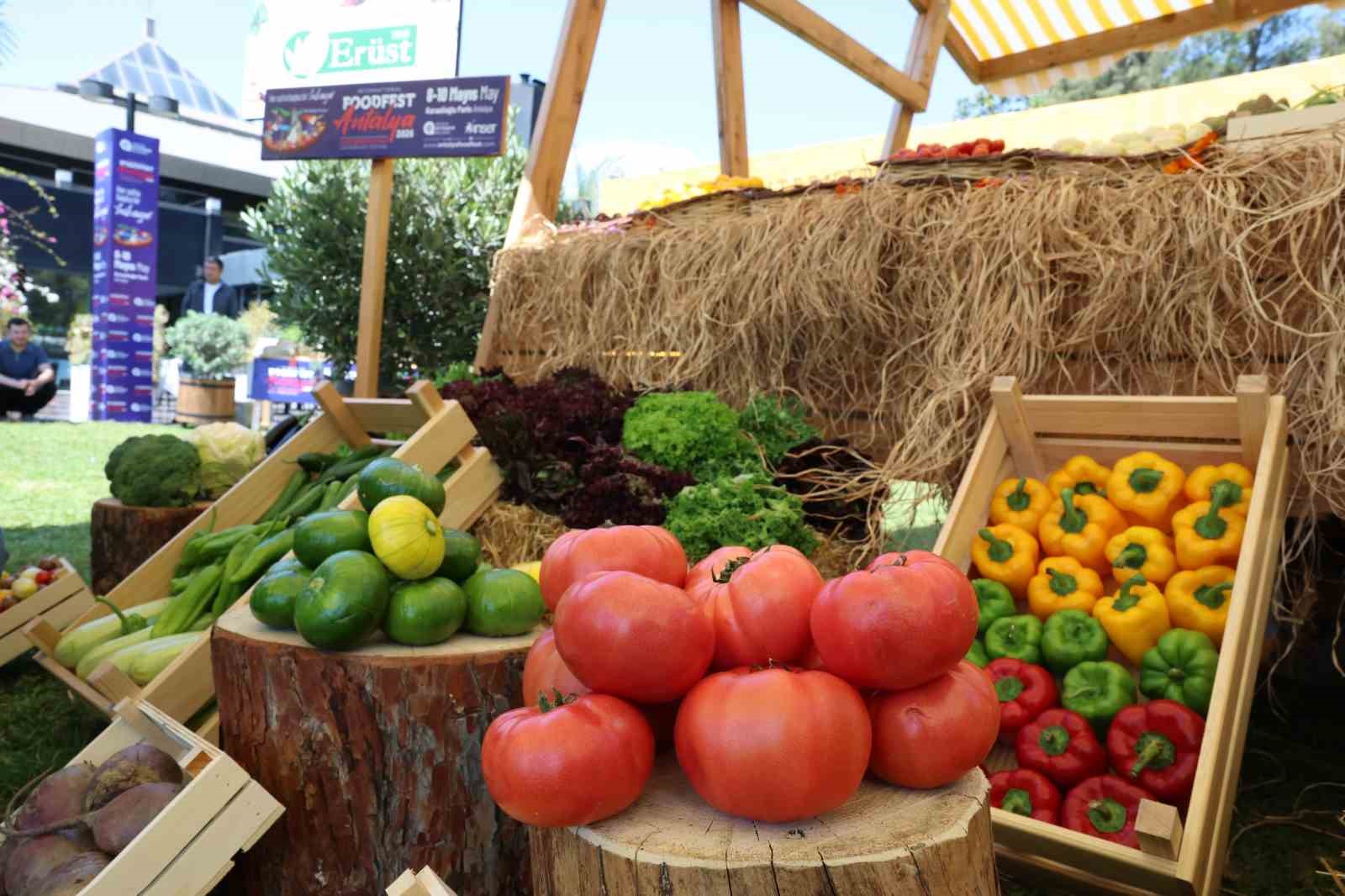 5. Uluslararası Foodfest Antalya Gastronomi Festivali başlıyor 9 5 uluslararasi foodfest antalya gastronomi festivali basliyor 5 F1t27K4s
