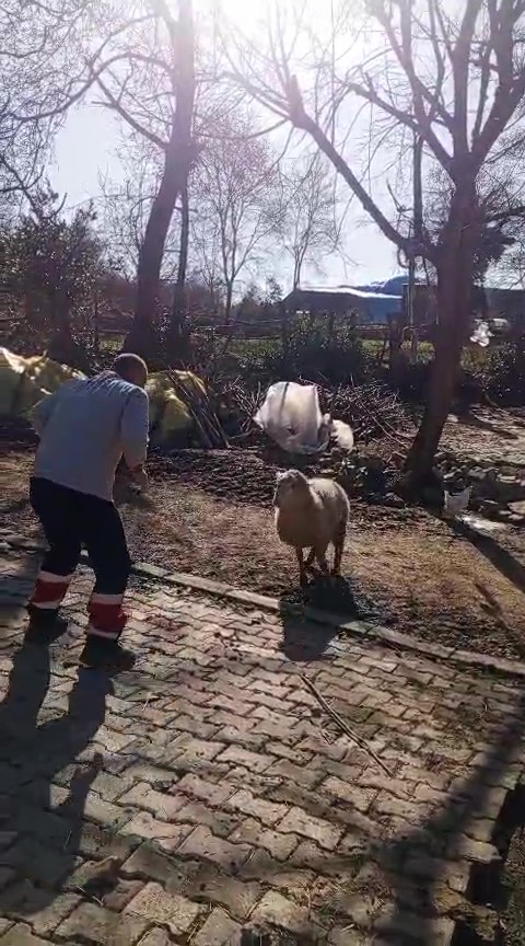 51 yasindaki dunya sampiyonu guresci kocla antrenman yapti 9