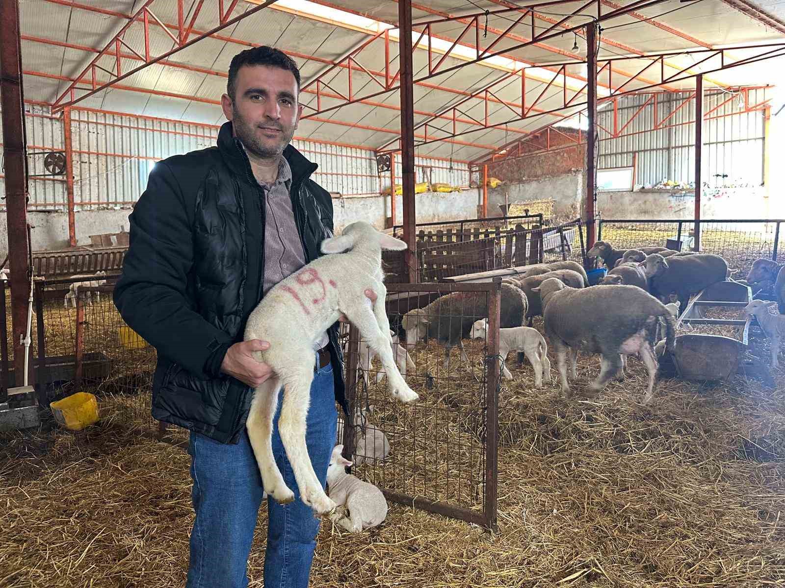 57 yildir safkan damizlik karacabey merinosu yetistiriyorlar bircok surude imzalari var 0 Vu2zBSQl