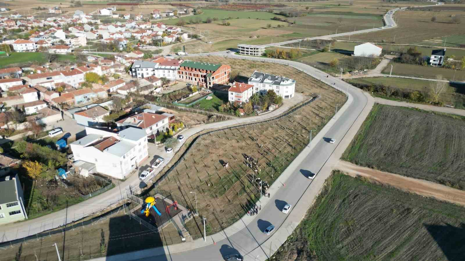 572 fidanli koruluk akhisana nefes olacak 1