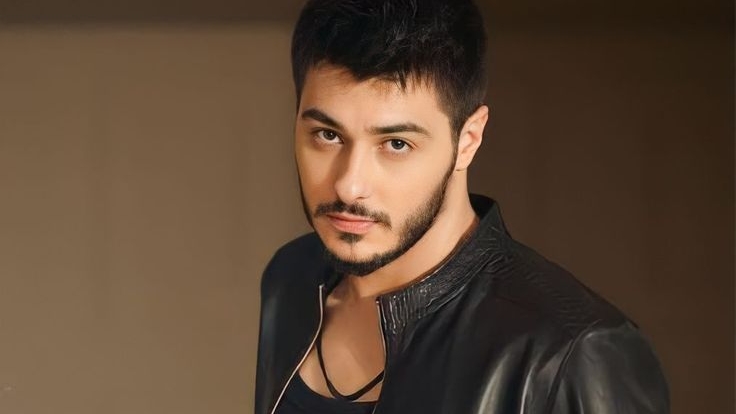 Semicenk hangi yılbaşı programına katıldı?