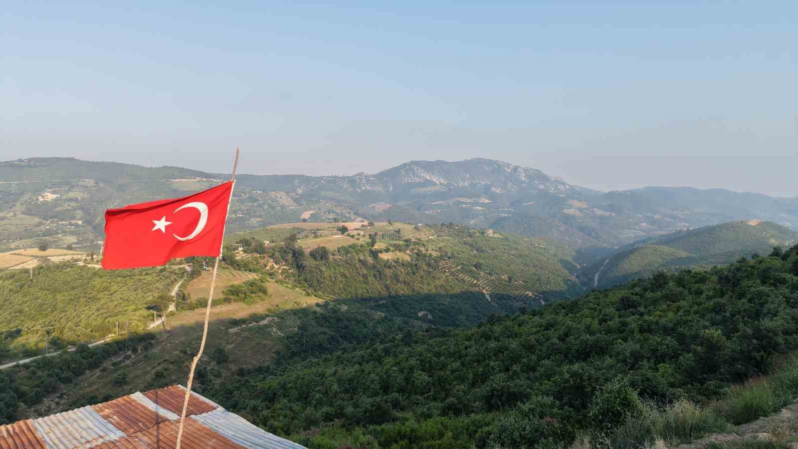 6 yıl önce alevlere teslim olan orman küllerinden doğdu 7 6 yil once alevlere teslim olan orman kullerinden dogdu 3 UDI6AE8I