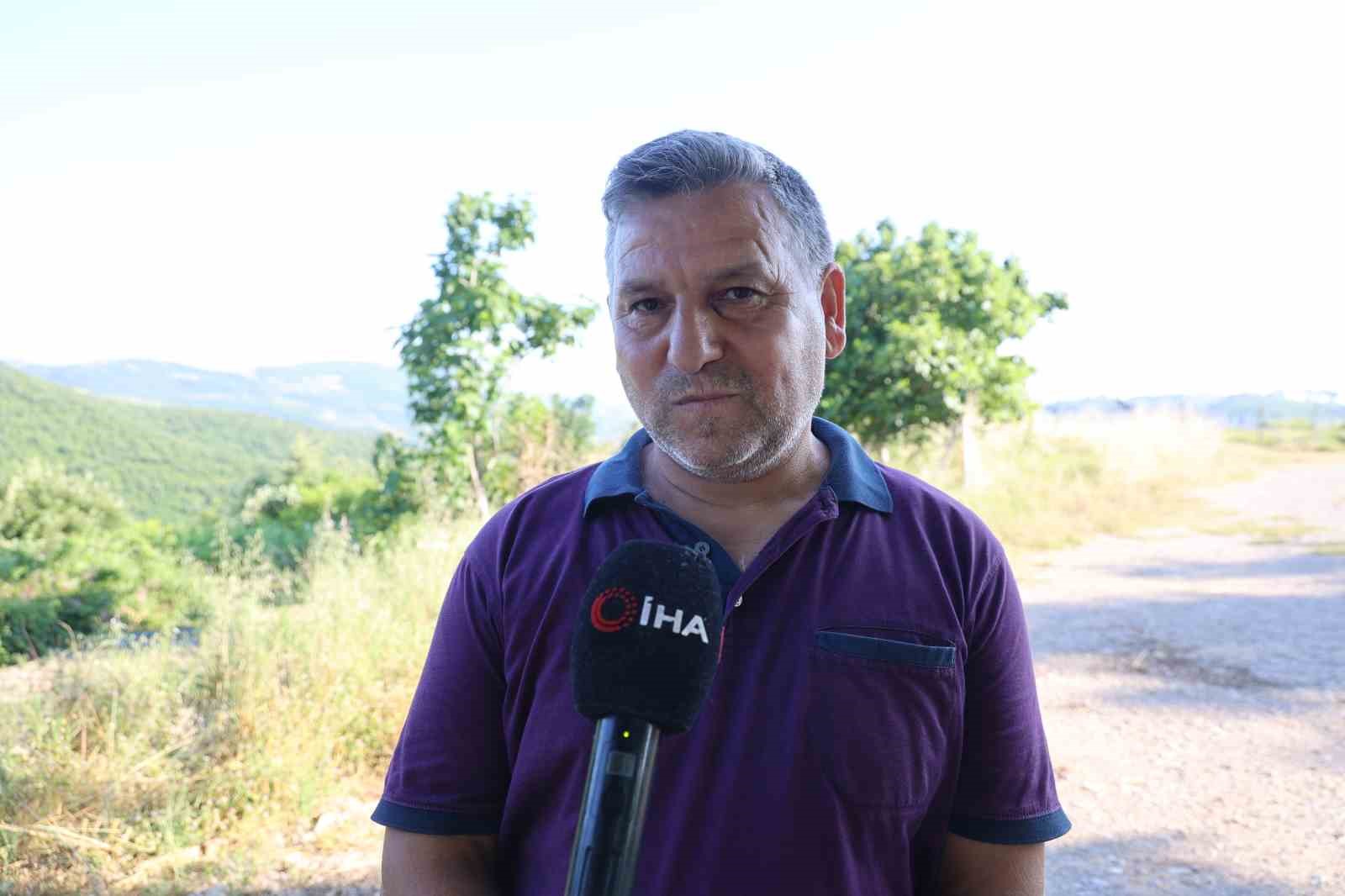 6 yıl önce alevlere teslim olan orman küllerinden doğdu 8 6 yil once alevlere teslim olan orman kullerinden dogdu 4 fhIupMYg