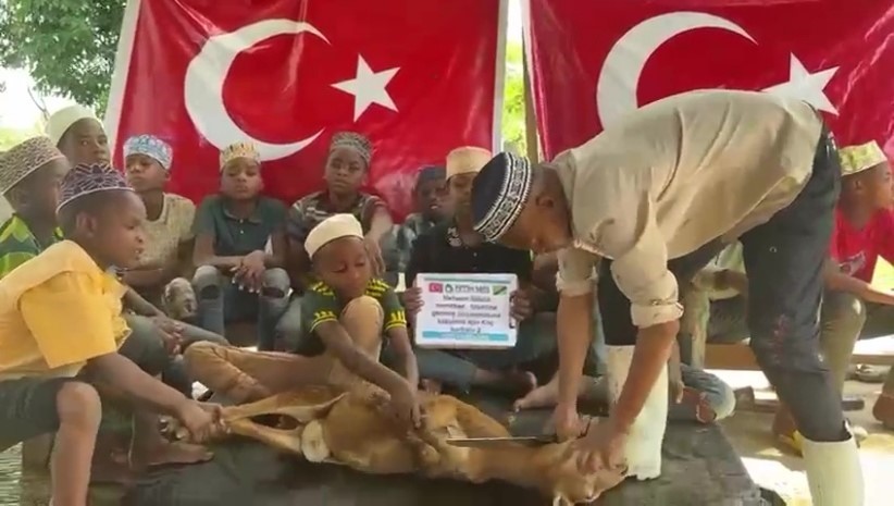 6 yil suren bosanma davasi sonuclanir sonuclanmaz afrikada 8 adet adak koc kestirdi 3 tjtiWFJM