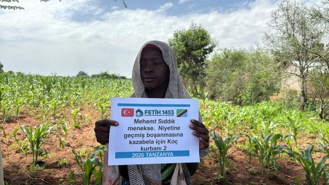 6 yil suren bosanma davasi sonuclanir sonuclanmaz afrikada 8 adet adak koc kestirdi 5 ek635Zbu