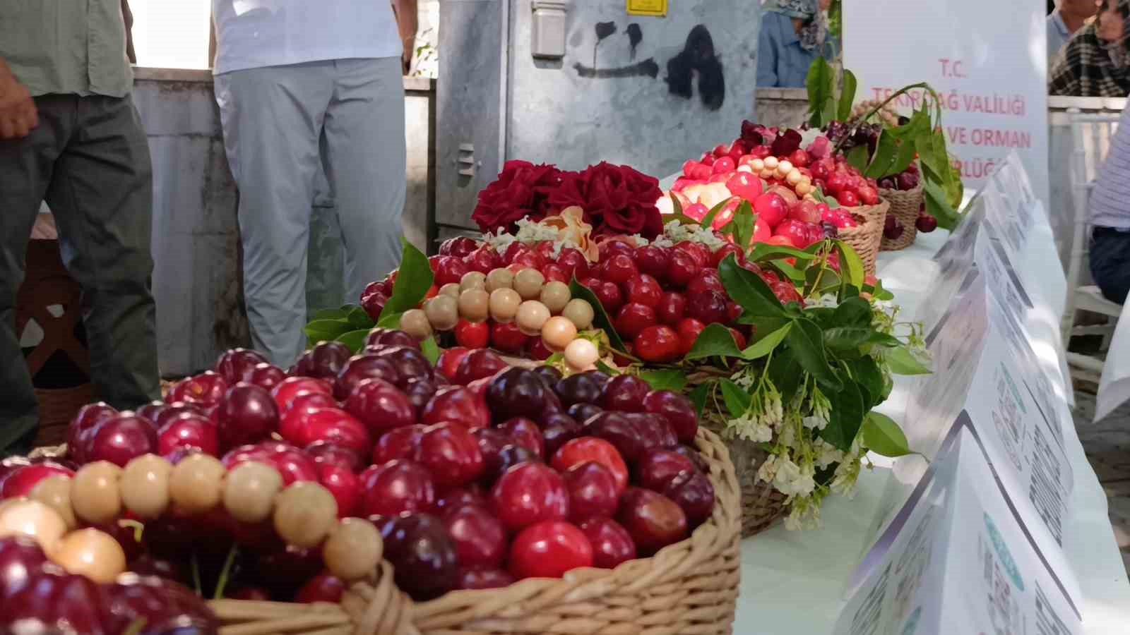 60 uluslararasi tekirdag kiraz festivali basladi en guzel kirazlara 60 bin lira odul