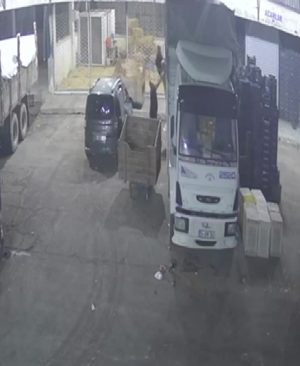 600 kiloluk karpuz ve kavun çalan şüpheli: "Çabuk satılan ürünler, satmak için çaldık" 4 600 kiloluk karpuz ve kavun calan supheli cabuk satilan urunler satmak icin caldik 0