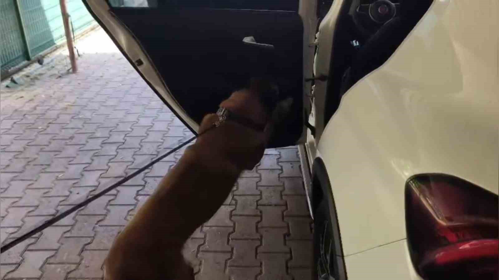 625 kilo bonzai uretilebilecek ham madde ele gecirildi suphelinin dugune gittim savunmasi dikkat cekti lOIdS81S