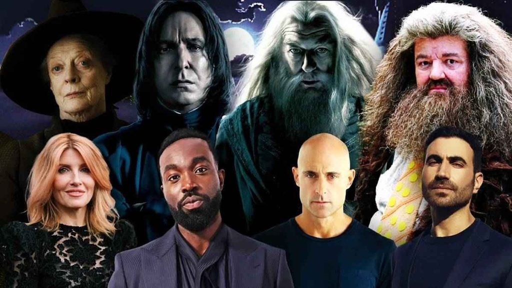 Harry Potter dizisi kaç sezon sürecek?