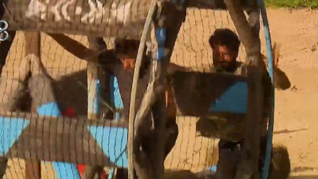 Survivor 2026 yeni oyun sistemi yarışmacıları nasıl etkileyecek?