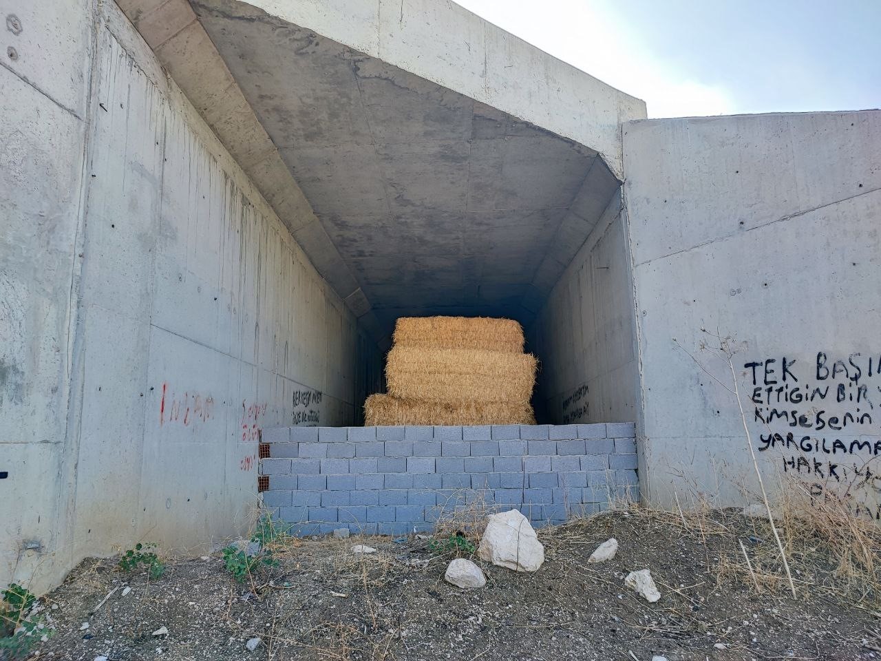 7 yildir bitmeyen yolun kopru ayaklari samanliga dondu 2 IP1TF5jW