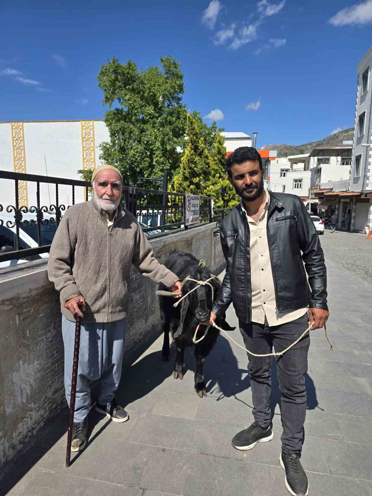 70 kiloluk dev keci 36 bin liraya satildi 3 IiOskQBZ