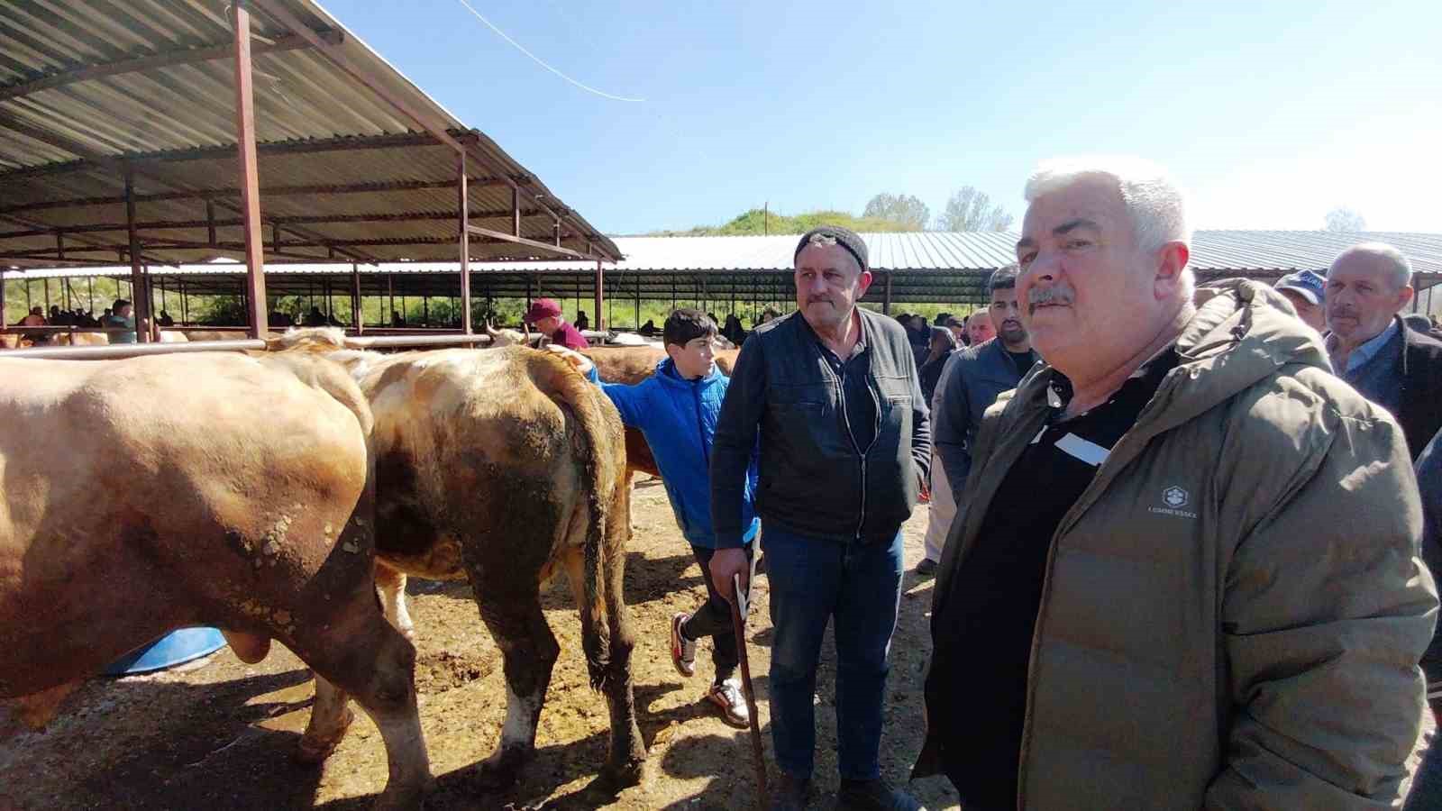 704 kiloluk dana için dakikalarca pazarlık yaptılar 6 704 kiloluk dana icin dakikalarca pazarlik yaptilar 2 C2rjSnBZ