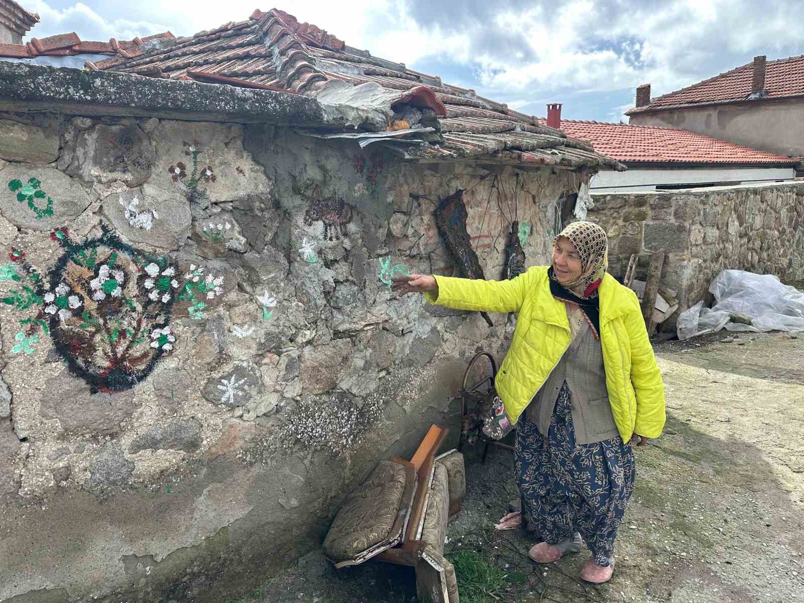 74 yasindaki hakime teyzenin resim tutkusu 12 mvbpns45