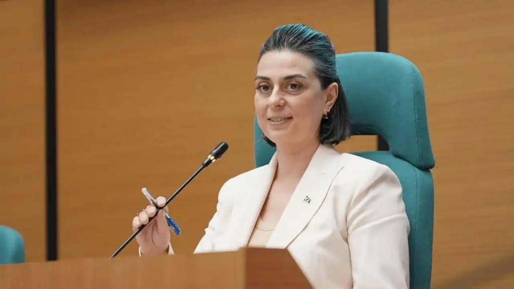 Sinem dedetaş kimdir ve meslek örgütlerinde hangi görevleri yaptı?