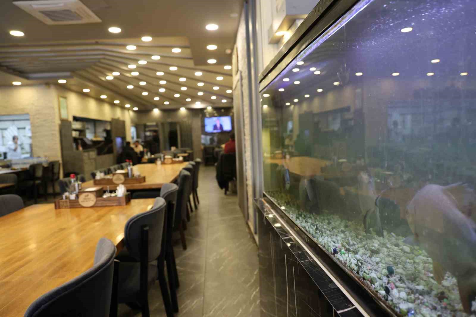 8 adet pirana baligi 12 yildir kelle pacayla besleniyor 7