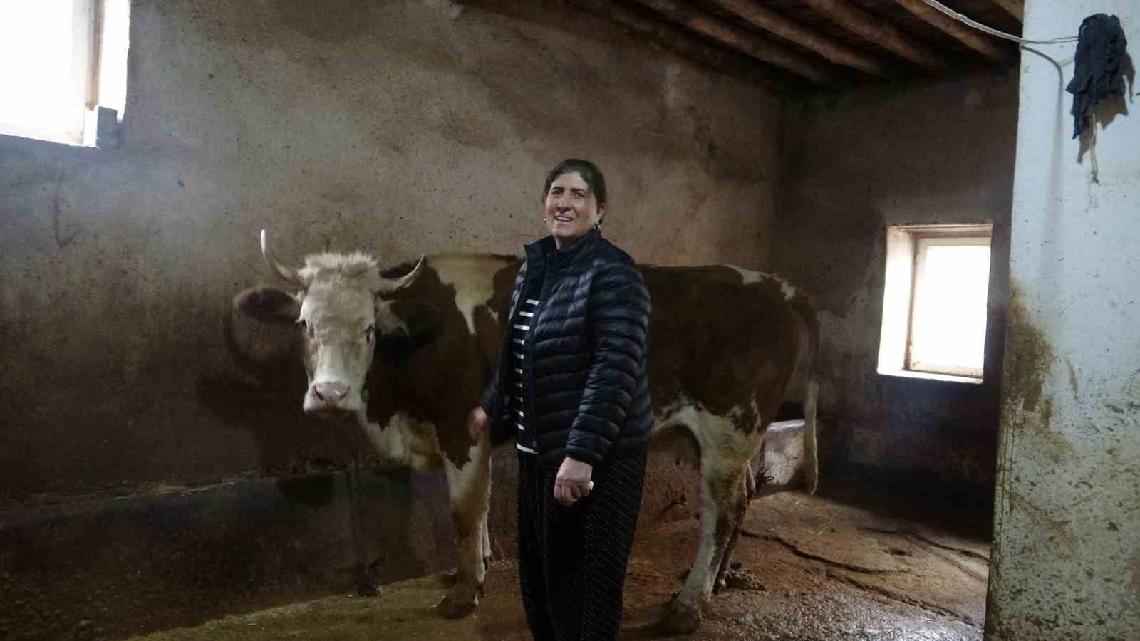 8 erkek adayi geride birakan kadin muhtar hem hayvancilik yapiyor hem mahallesini yonetiyor 0 szhh3RKb