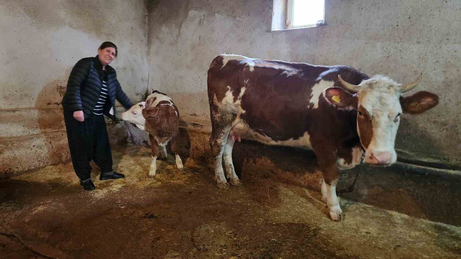 8 erkek adayi geride birakan kadin muhtar hem hayvancilik yapiyor hem mahallesini yonetiyor 2 V6Zcn3Qm