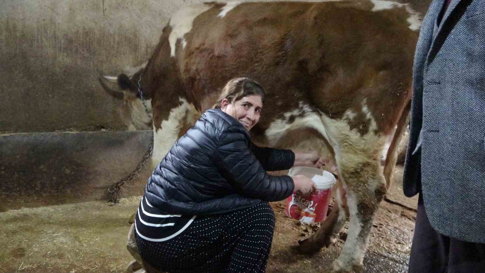 8 erkek adayi geride birakan kadin muhtar hem hayvancilik yapiyor hem mahallesini yonetiyor 4 D2QPq2B6