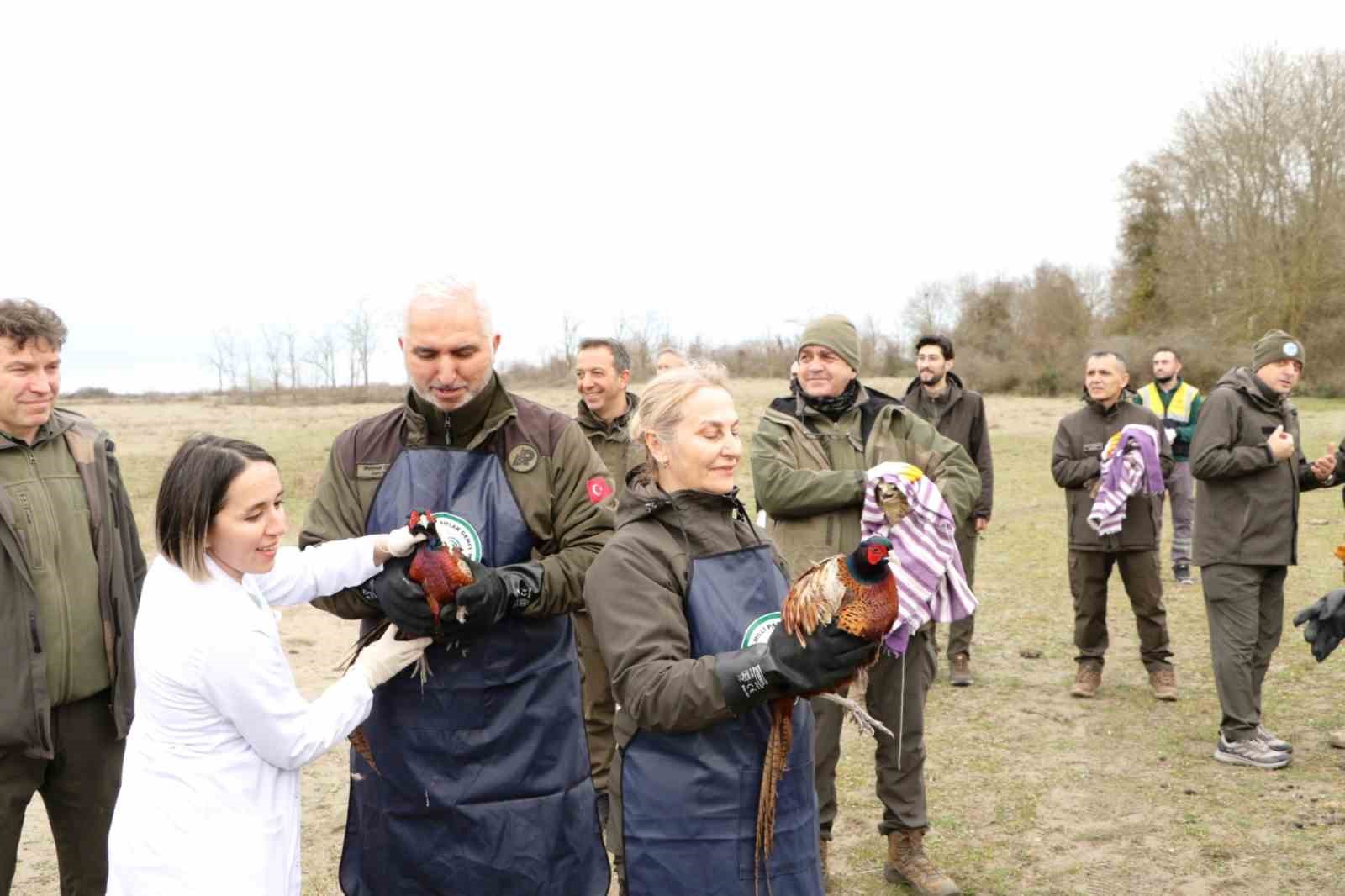 81 binden fazla gocmen kus halkalandi 2 MM5VyliT