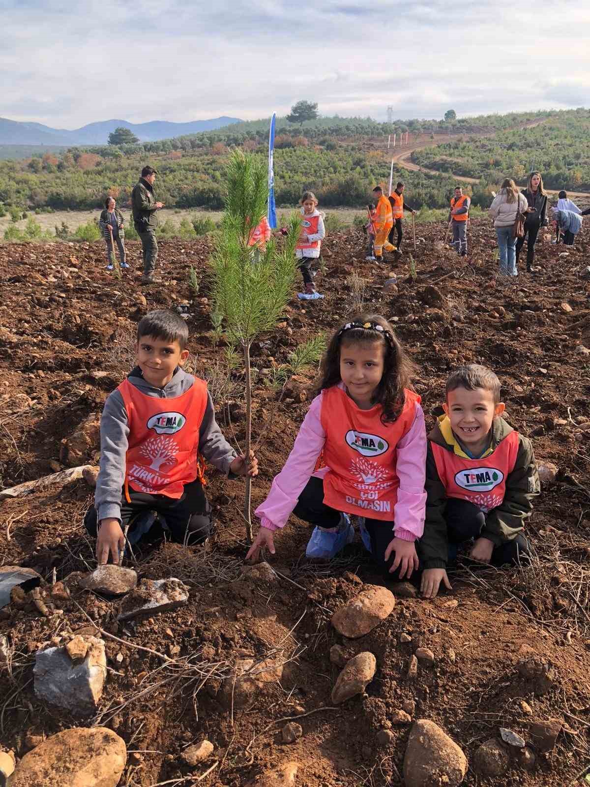 81 ilde 81 orman projesi mugla ile devam ediyor 1 2jYIQdlQ