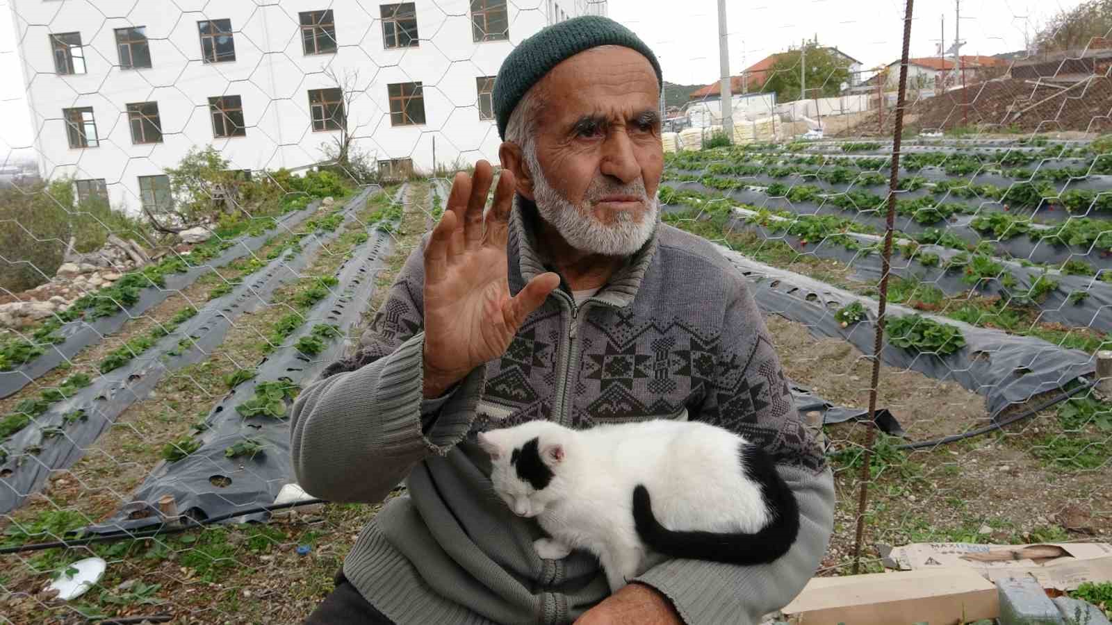 85 yasindaki ibrahim dede hayir bahcesinde yetistirdigi meyve ve sebzeleri ucretsiz ikram ediyor 7 flHFzpP5