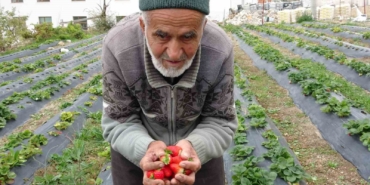 85-yasindaki-ibrahim-dede-hayir-bahcesinde-yetistirdigi-meyve-ve-sebzeleri-ucretsiz-ikram-ediyor-cKGFlqeC.jpg