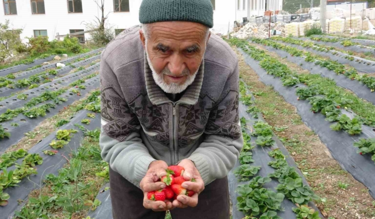 85-yasindaki-ibrahim-dede-hayir-bahcesinde-yetistirdigi-meyve-ve-sebzeleri-ucretsiz-ikram-ediyor-cKGFlqeC.jpg