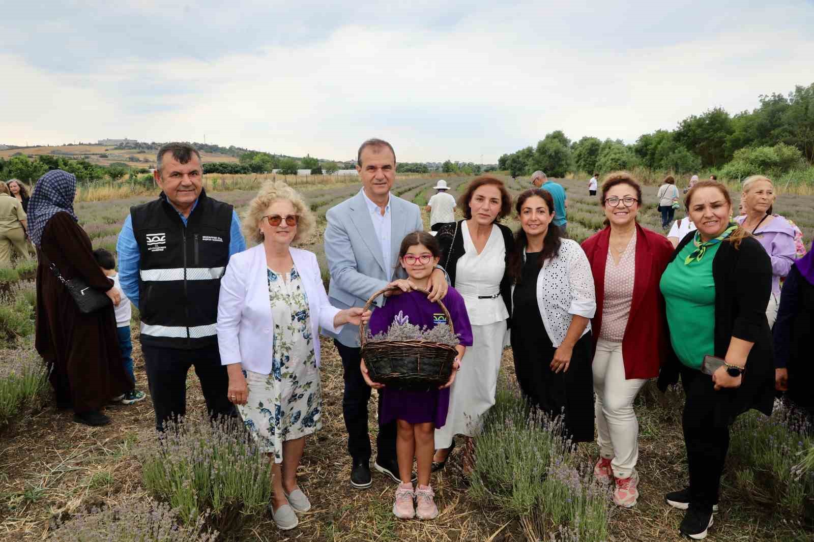 8inci lavanta hasat senligi renkli goruntulere sahne oldu 0 nciWIuy2