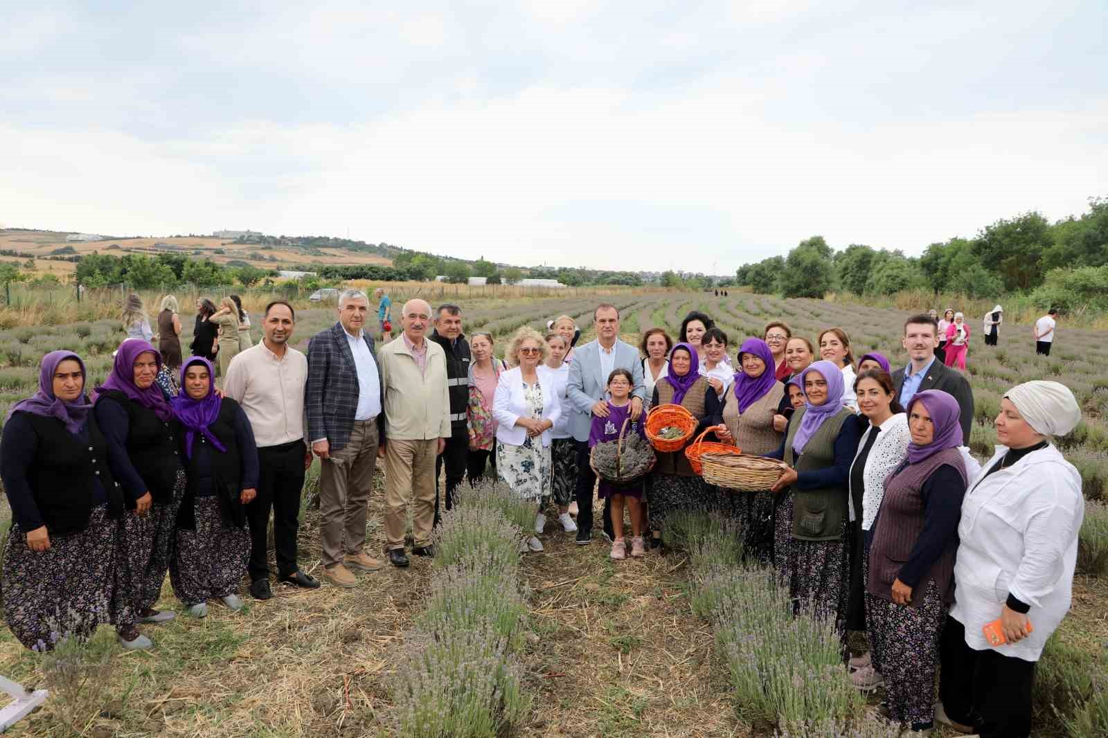 8inci lavanta hasat senligi renkli goruntulere sahne oldu 4