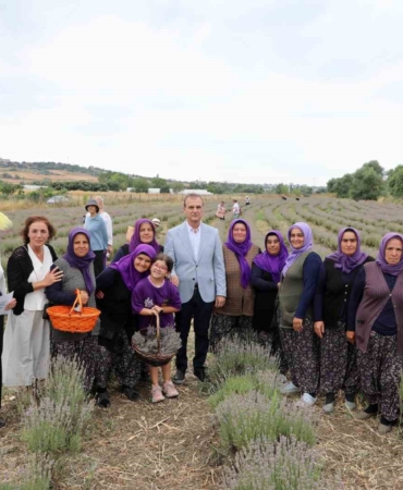8inci-lavanta-hasat-senligi-renkli-goruntulere-sahne-oldu-A7IpZ6fg.jpg