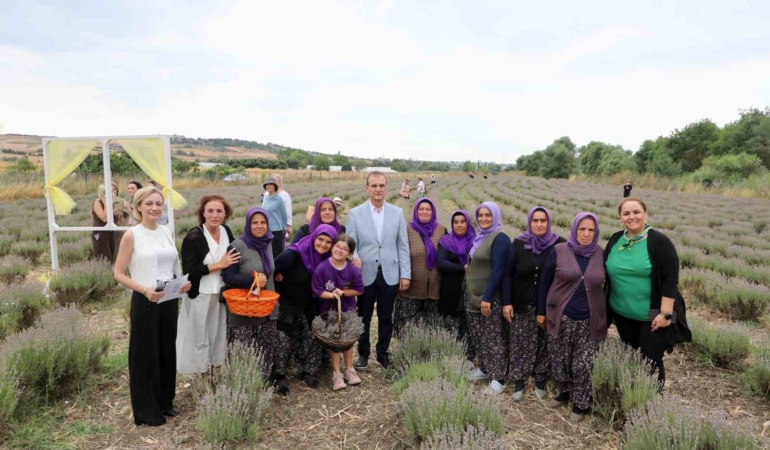 8inci-lavanta-hasat-senligi-renkli-goruntulere-sahne-oldu-A7IpZ6fg.jpg