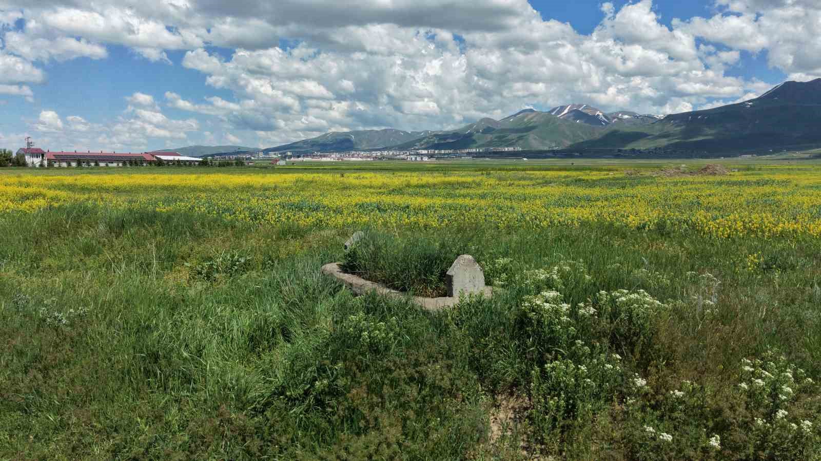 93 Harbi’nin meçhul şehidi 149 yıldır Erzurum Ovası’nda nöbet tutuyor 9 93 harbinin mechul sehidi 149 yildir erzurum ovasinda nobet tutuyor 5 7d52vRXf