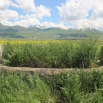93-harbinin-mechul-sehidi-149-yildir-erzurum-ovasinda-nobet-tutuyor-Ez8dbFcd.jpg