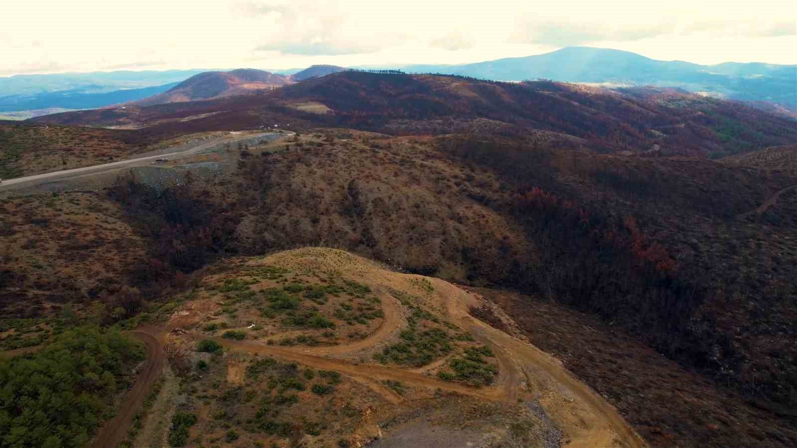 953 hektar kul oldu bursayi yeniden yesertecek 300 bin fidan icin ilk adim atildi fHfyV4FF