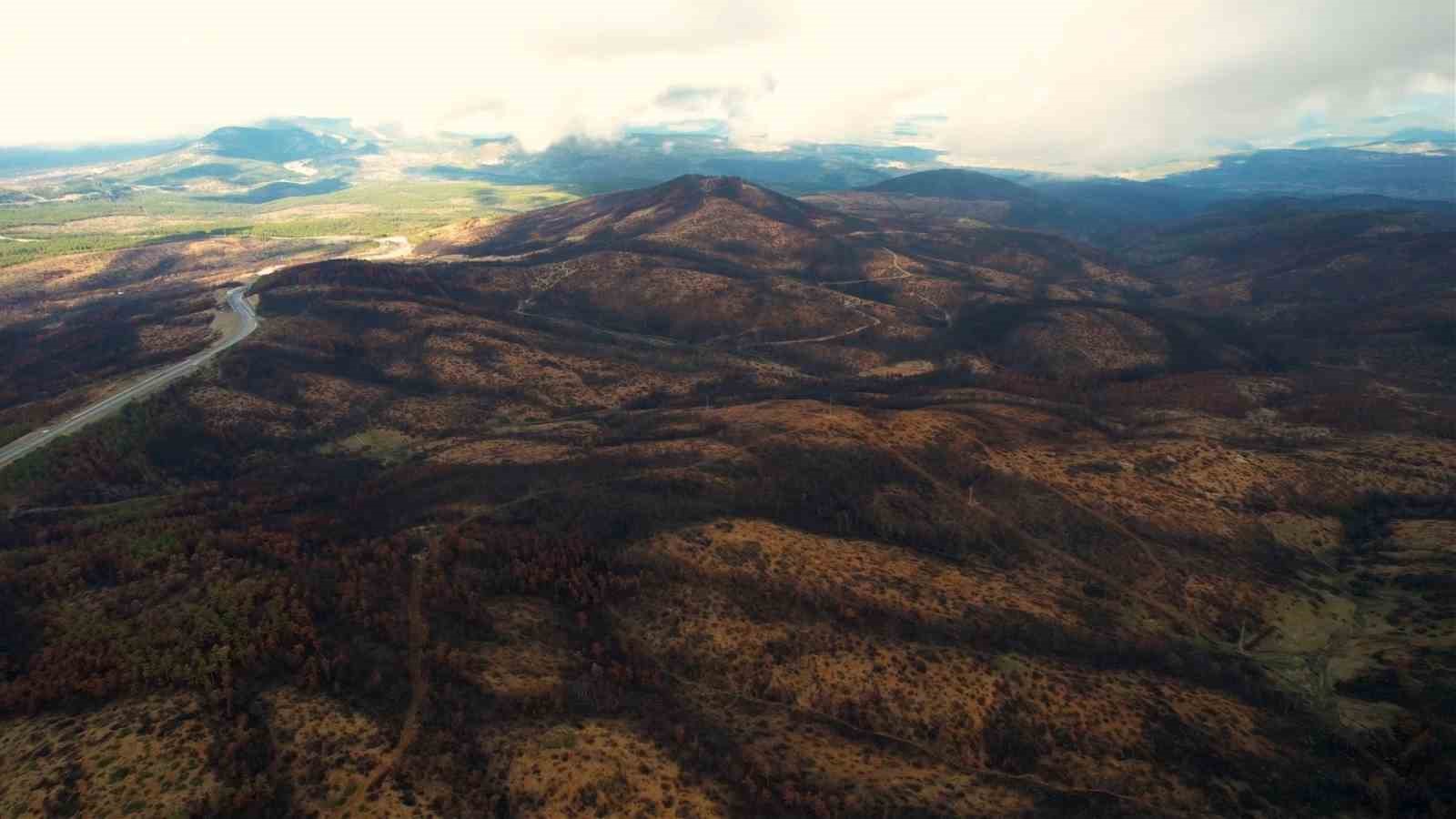 953 hektar kul oldu bursayi yeniden yesertecek 300 bin fidan icin ilk adim atildi s4VGHOBL