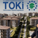 Toki