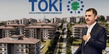 Toki